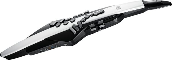 open zoom image for Roland AE-20 Aerophone Wind Instrument, New, Action Position Back