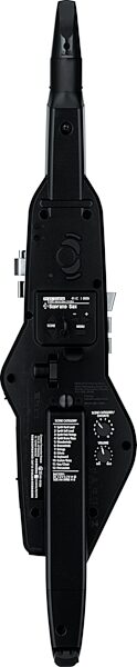 open zoom image for Roland AE-20 Aerophone Wind Instrument, New, Action Position Back