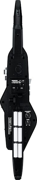 open zoom image for Roland AE-20 Aerophone Wind Instrument, New, Action Position Back