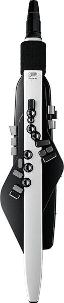 open zoom image for Roland AE-20 Aerophone Wind Instrument, New, Action Position Back