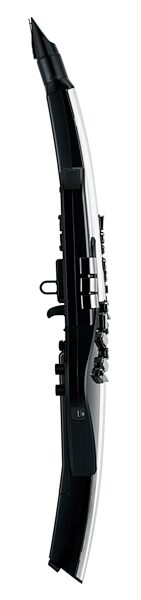 open zoom image for Roland AE-30 Aerophone Pro Wind Instrument, New, act