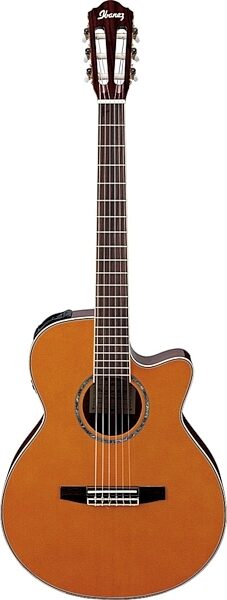 open zoom image for Ibanez AEG10N Classical Acoustic-Electric Guitar (Tangerine), Main