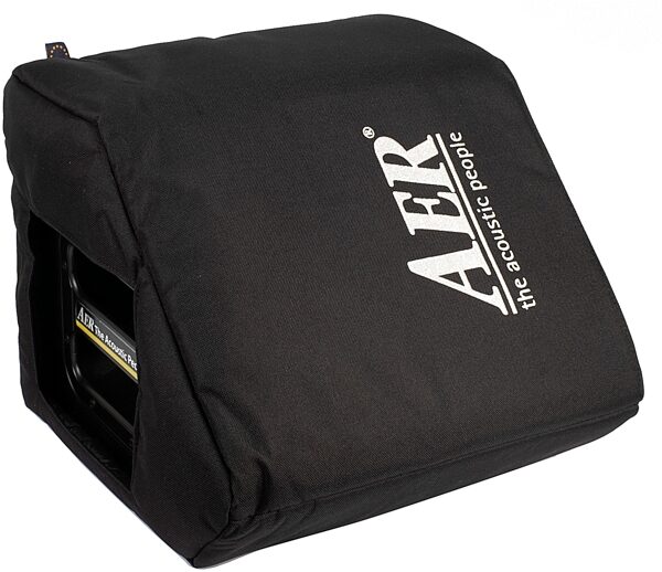 open zoom image for AER Compact 60/4 Acoustic Slant Guitar Combo Amplifier (60 Watts, 1x8"), New, Action Position Back