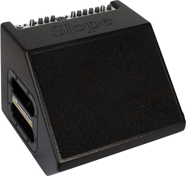 open zoom image for AER Compact 60/4 Acoustic Slant Guitar Combo Amplifier (60 Watts, 1x8"), New, Main
