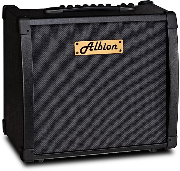 open zoom image for Albion AG40DFX Guitar Combo Amplifier (40 Watts), Right