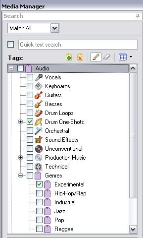 open zoom image for Sony Acid Loop-Based Composition Software (Windows), Media Manager 2