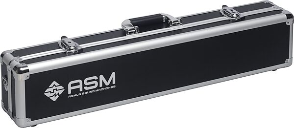 open zoom image for ASM Ashun Sound Machines Diosynth Wind Synthesizer (with Case and Stand), New, Action Position Back