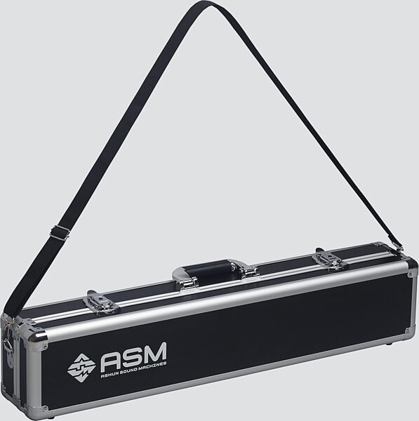 open zoom image for ASM Ashun Sound Machines Diosynth Wind Synthesizer (with Case and Stand), New, Action Position Back