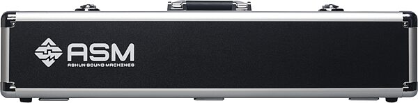 open zoom image for ASM Ashun Sound Machines Diosynth Wind Synthesizer (with Case and Stand), New, Action Position Back