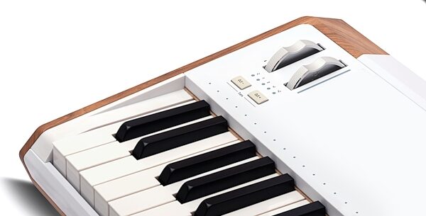 open zoom image for Arturia AstroLab 61 Performance Stage Keyboard, New, Action Position Back