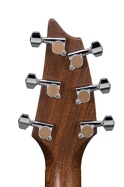 open zoom image for Breedlove American Series C25/SSE Acoustic-Electric Guitar with Case, Back of Headstock
