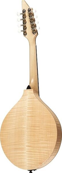 open zoom image for Breedlove American OO Mandolin with Case, Back