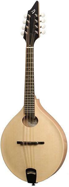 open zoom image for Breedlove American OO Mandolin with Case, Main