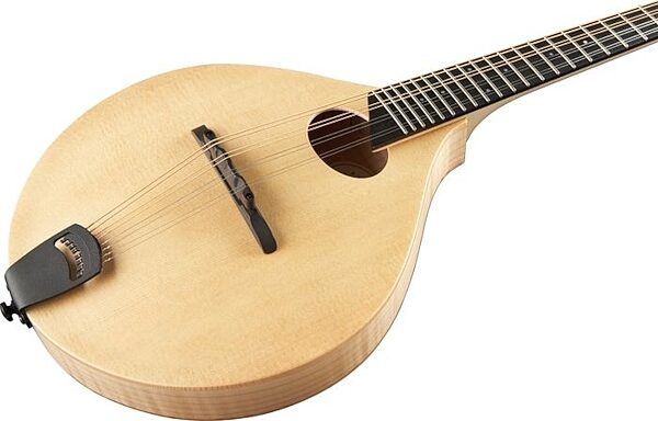 open zoom image for Breedlove American OO Mandolin with Case, Closeup