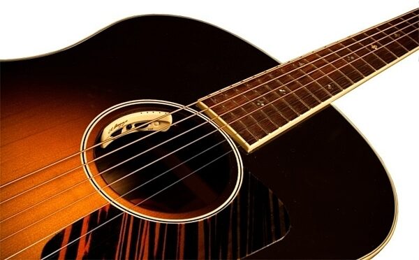 open zoom image for LR Baggs Anthem Internal Tru-Mic Acoustic Guitar Pickup, New, In Soundhole