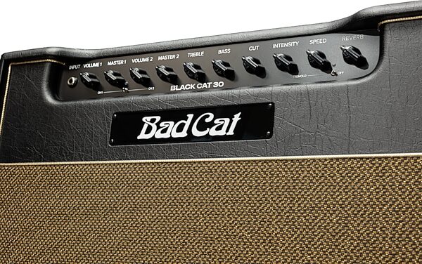 open zoom image for Bad Cat Mark Sampson Modified Black Cat Guitar Combo Amplifier (30 Watts, 1x12"), New, Action Position Back