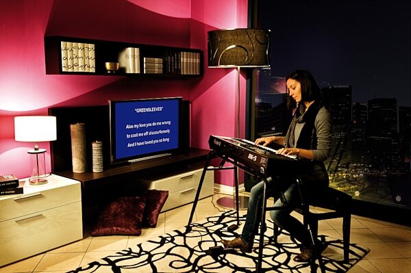 open zoom image for Roland BK-5 Backing Keyboard, Glamour View 2