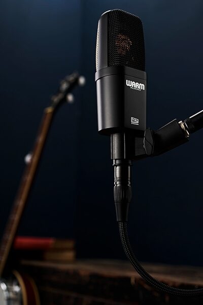 open zoom image for Warm Audio WA-14 Large-Diaphragm Condenser Microphone, New, In Use