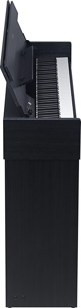 open zoom image for Medeli CP203 Digital Piano, Black, Action Position Back