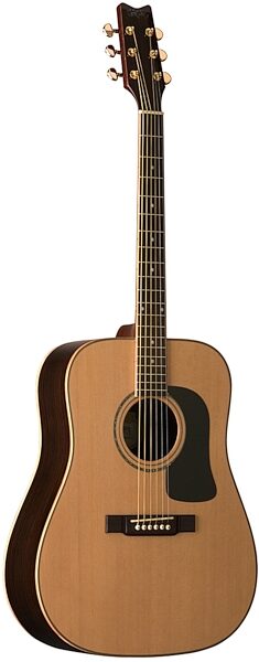 open zoom image for Washburn D10SDL Solid Top Acoustic Guitar, Main