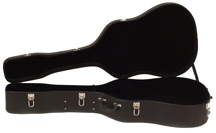 open zoom image for Washburn D10Q Dreadnought Acoustic Guitar (with Case), Case