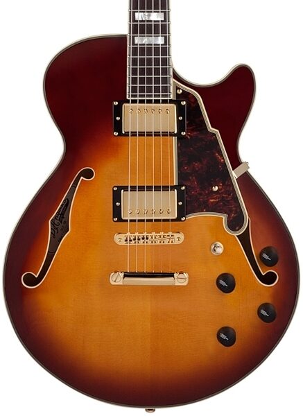 open zoom image for D'Angelico Kurt Rosenwinkel Signature Deluxe SS Electric Guitar (with Case), Closeup