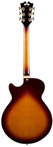 open zoom image for D'Angelico Kurt Rosenwinkel Signature Deluxe SS Electric Guitar (with Case), Back