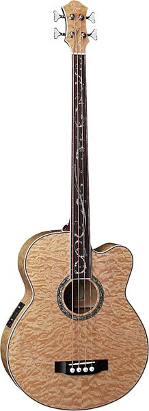 open zoom image for Michael Kelly Dragonfly 4 Fretless Acoustic-Electric Bass, Main