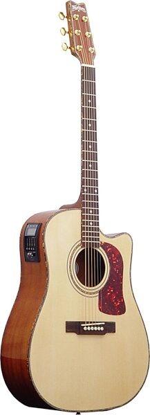 open zoom image for Washburn DK20CET Dreadnought Cutaway Acoustic-Electric Guitar, Main