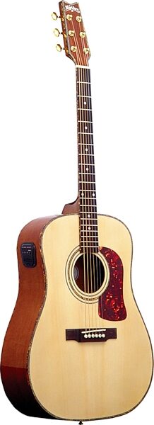 open zoom image for Washburn DK20T Dreadnought Acoustic Guitar, Main