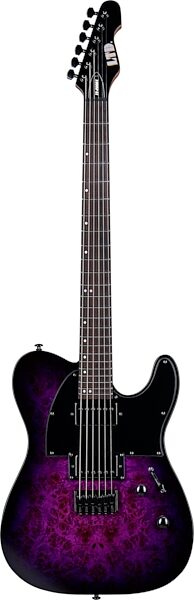open zoom image for ESP LTD TE-200DX Electric Guitar, Action Position Back