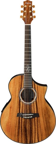 open zoom image for Ibanez EW50MPSE Exotic Wood Acoustic-Electric Guitar, Main