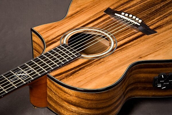 open zoom image for Ibanez EW50MPSE Exotic Wood Acoustic-Electric Guitar, Fretboard