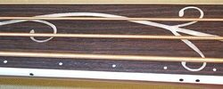 open zoom image for Michael Kelly Firefly 4 Fretless Acoustic-Electric Bass, Inlays Alternate