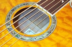 open zoom image for Michael Kelly Firefly 5 5-String Fretless Acoustic-Electric Bass, Amber Soundhole