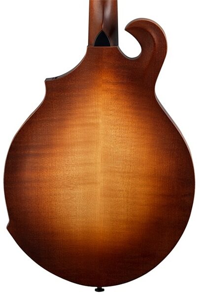 open zoom image for Breedlove American FF Mandolin (with Case), Back