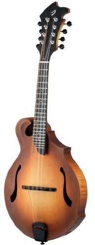 open zoom image for Breedlove American FF Mandolin (with Case), Side