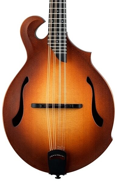 open zoom image for Breedlove American FF Mandolin (with Case), Front Closeup