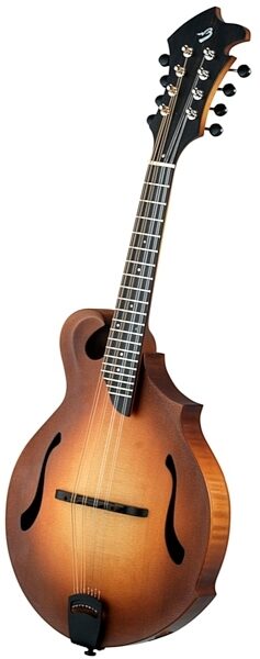 open zoom image for Breedlove American FF Mandolin (with Case), Main