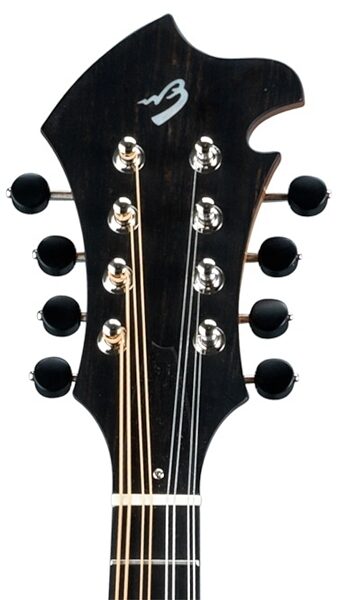 open zoom image for Breedlove American FF Mandolin (with Case), Headstock
