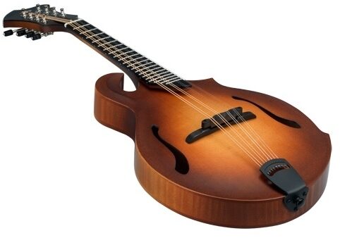 open zoom image for Breedlove American FF Mandolin (with Case), Body