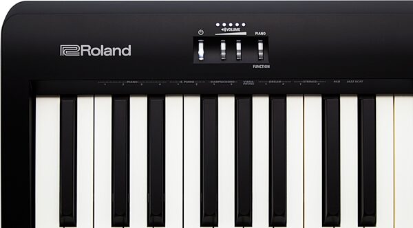 open zoom image for Roland FP-10 Digital Stage Piano, Main