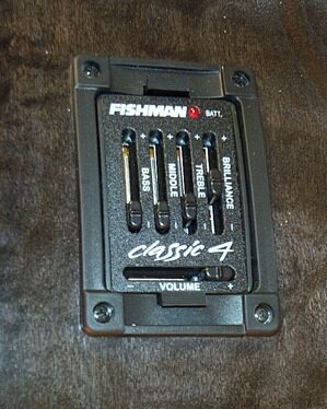 open zoom image for Michael Kelly Firefly 4 Fretless Acoustic-Electric Bass, Transparent Black EQ