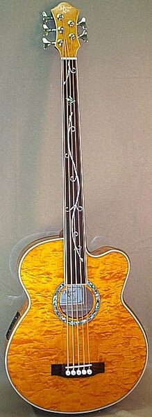 open zoom image for Michael Kelly Firefly 5 5-String Fretless Acoustic-Electric Bass, Amber