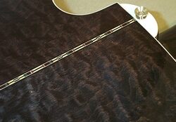 open zoom image for Michael Kelly Firefly 5 5-String Fretless Acoustic-Electric Bass, Transparent Black Seam