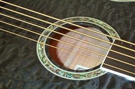 open zoom image for Michael Kelly Firefly 5 5-String Fretless Acoustic-Electric Bass, Transparent Black Soundhole