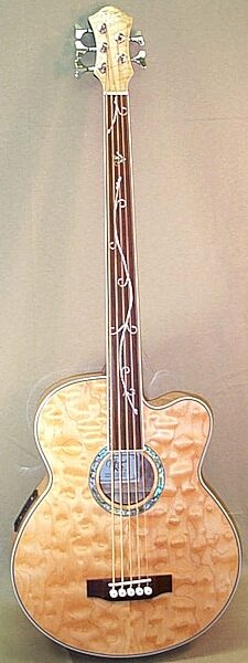 open zoom image for Michael Kelly Firefly 5 5-String Fretless Acoustic-Electric Bass, Main