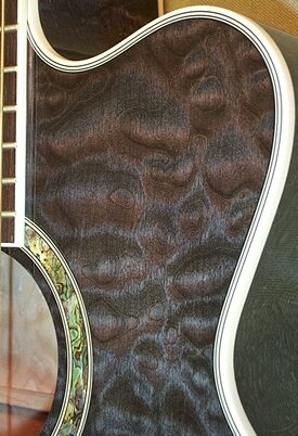 open zoom image for Michael Kelly Firefly 5 5-String Fretless Acoustic-Electric Bass, Transparent Black Cutaway