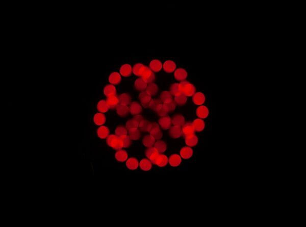 open zoom image for ADJ Focus Spot 5Z Effect Light, New, Action Position Back