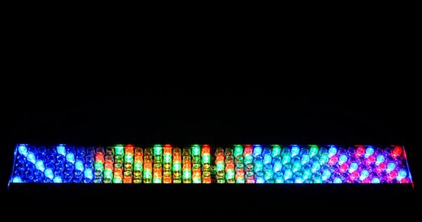 open zoom image for Chauvet Freedom Strip Mini RGBA Stage Light, FX1